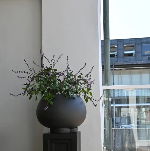 URCHIN PLANT POT MEDIO COFFEE lillepott 101CPH - 101Copenhagen - isikupärased sisustustooted Sinu koju ja kontorisse - Kiire tarne üle Eesti